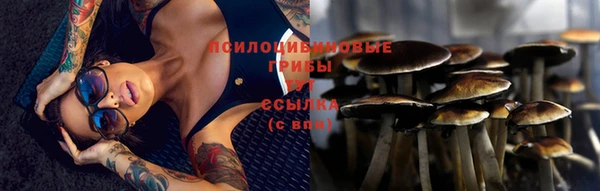 PSILOCYBIN Абдулино