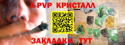 гидра Моздок