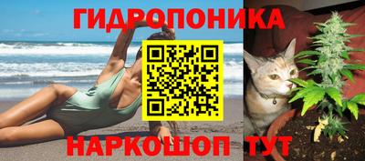 гидра Моздок