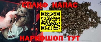 гидра Моздок