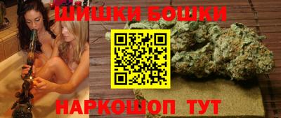 гидра Моздок