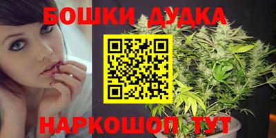 гидра Моздок